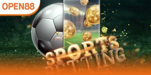 cá cược bóng rổ